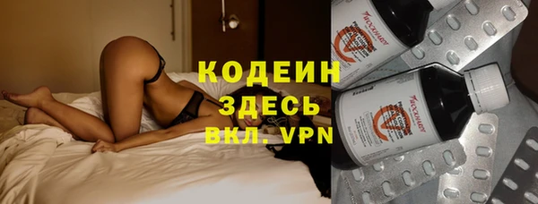 ПСИЛОЦИБИНОВЫЕ ГРИБЫ Корсаков