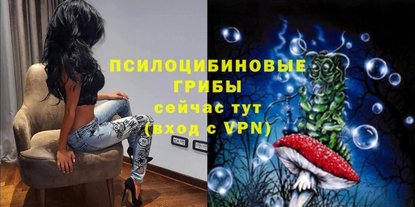 сатива Беломорск