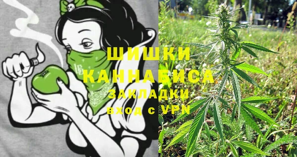 сатива Беломорск