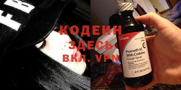 сатива Беломорск