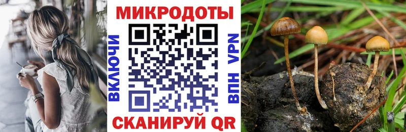 Галлюциногенные грибы MAGIC MUSHROOMS  Свободный 