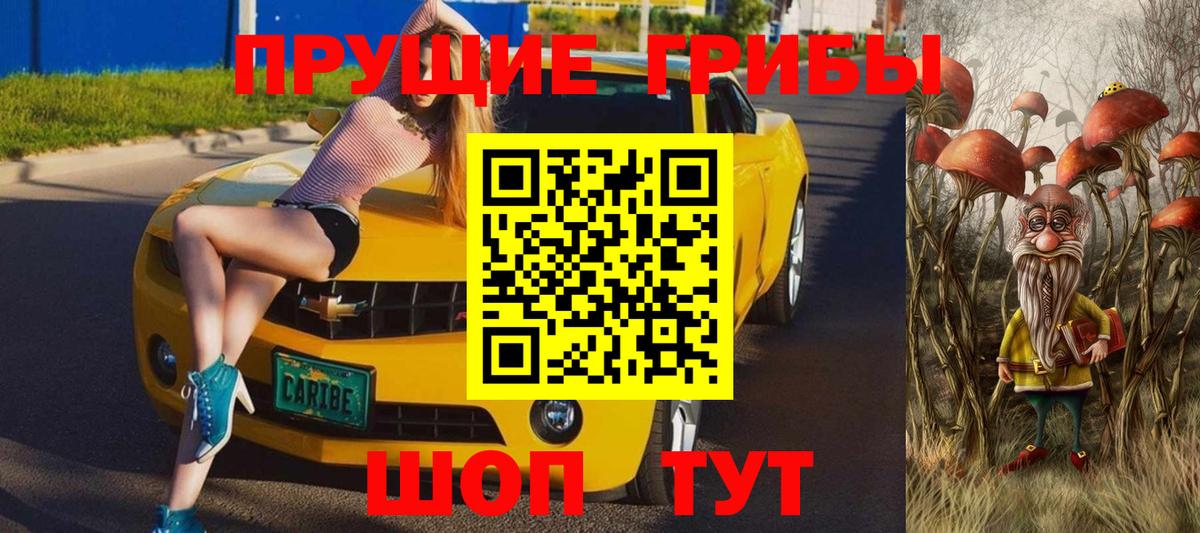 Свободный  Галлюциногенные грибы Psilocybine cubensis  Вход с VPN 