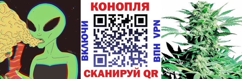 хочу   Свободный  Бошки Шишки сатива 